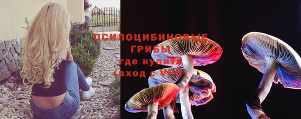 марки nbome Бородино