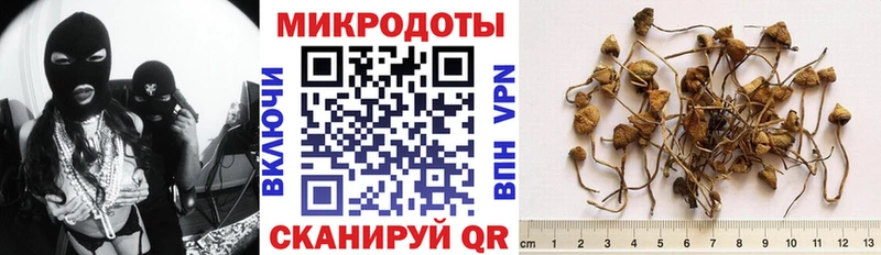 Псилоцибиновые грибы прущие грибы  blacksprut зеркало  нарко площадка наркотические препараты  Новосокольники 